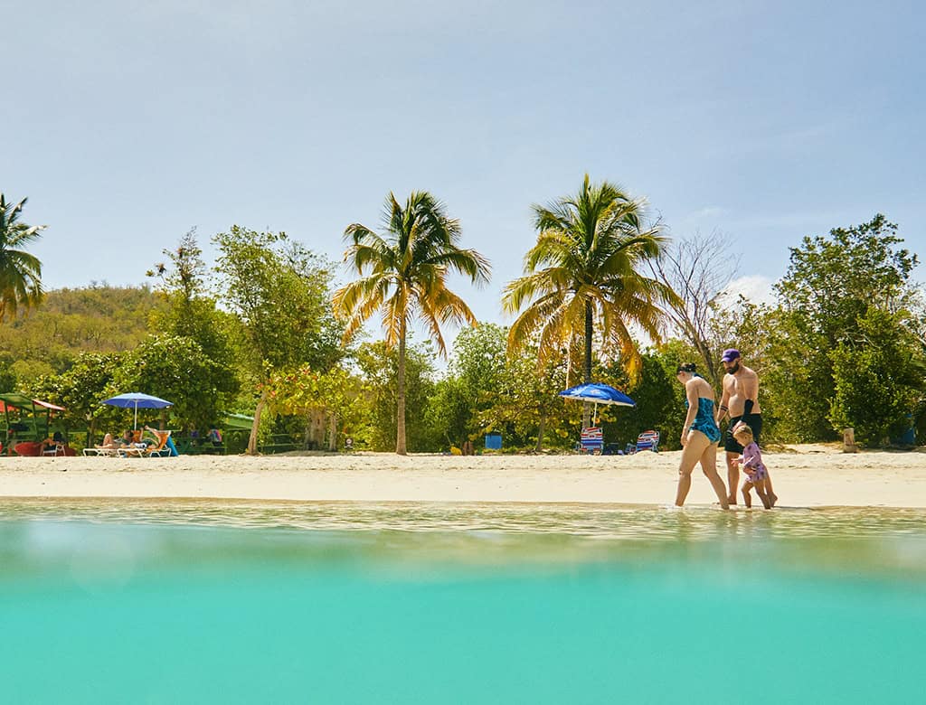 A family walks along the waters edge at Magens Bay. Tall palm trees rise in the background