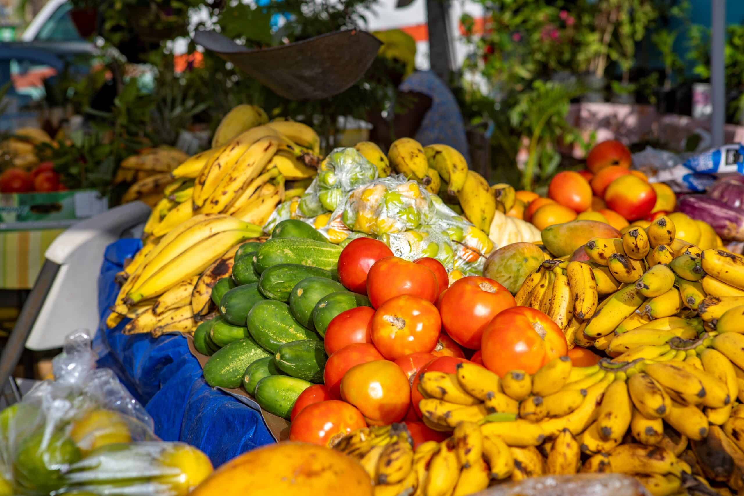 Farmers market in St. Thomas, USVI