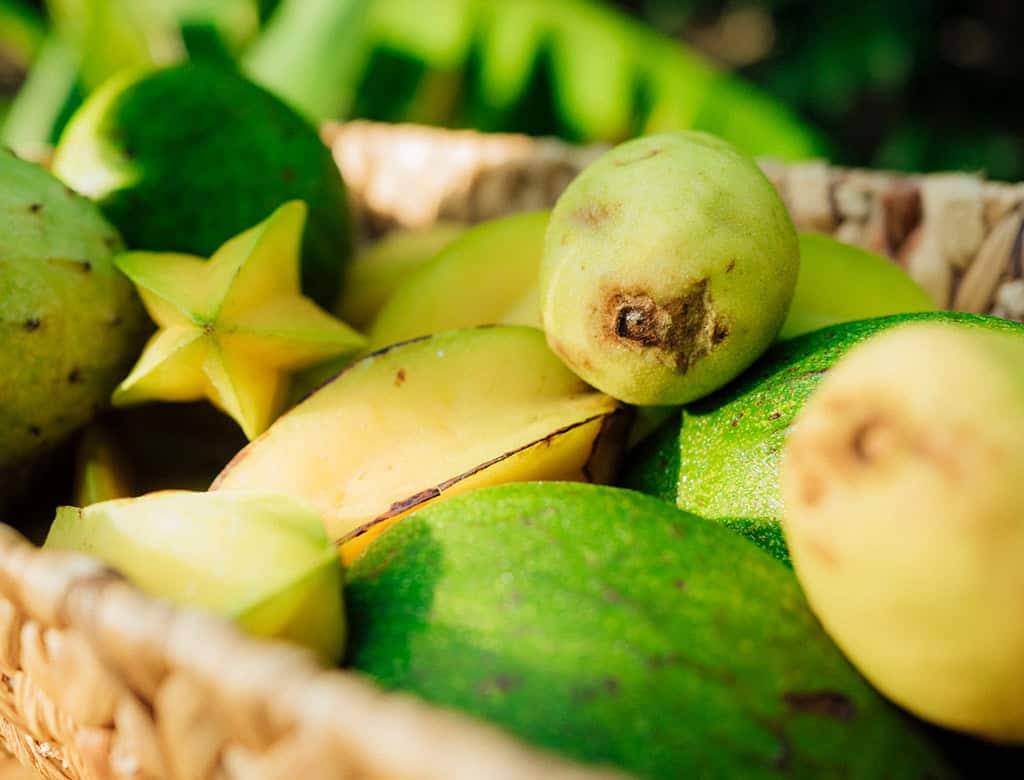 Fresh fruit is piled in a basket at a farmers' market in USVI