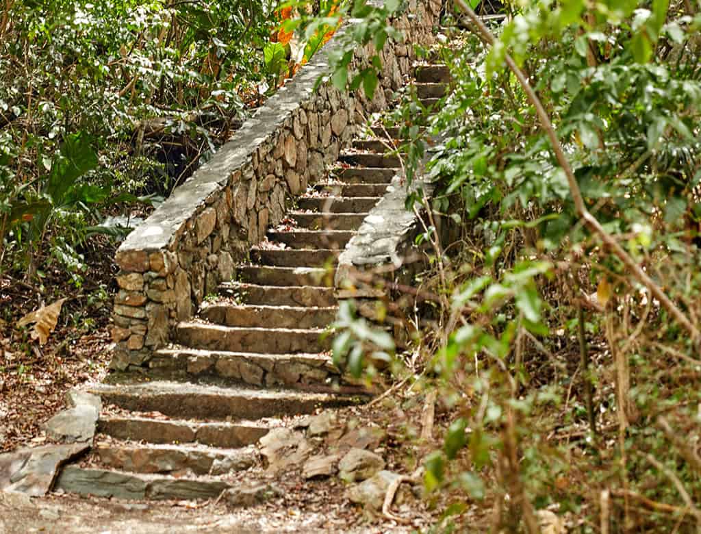 Centuries-old stairs stand among overgrown forest in USVI