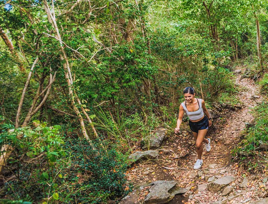 A person walks up a steep dirt trail surrounded by lush vegetation in the US Virgin Islands