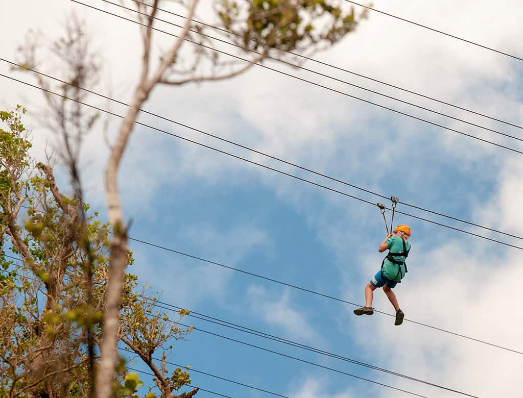 A person zip lines across the sky, with clouds in the backdrop and a tree