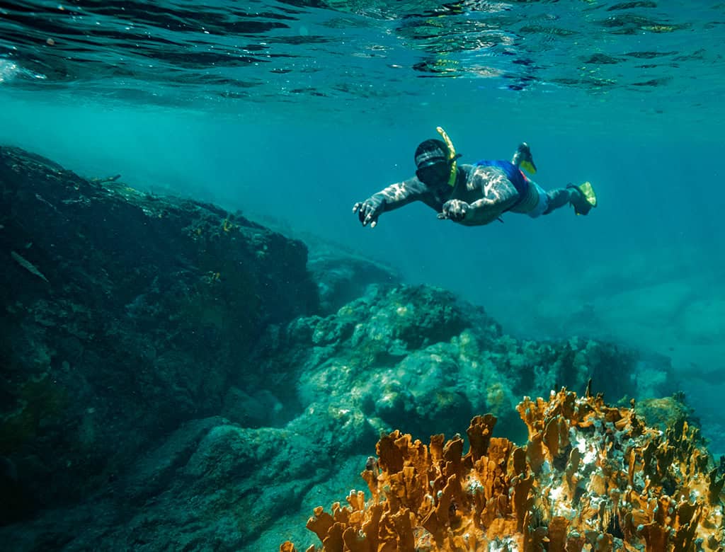Virgin Island Coral Reef Monument
