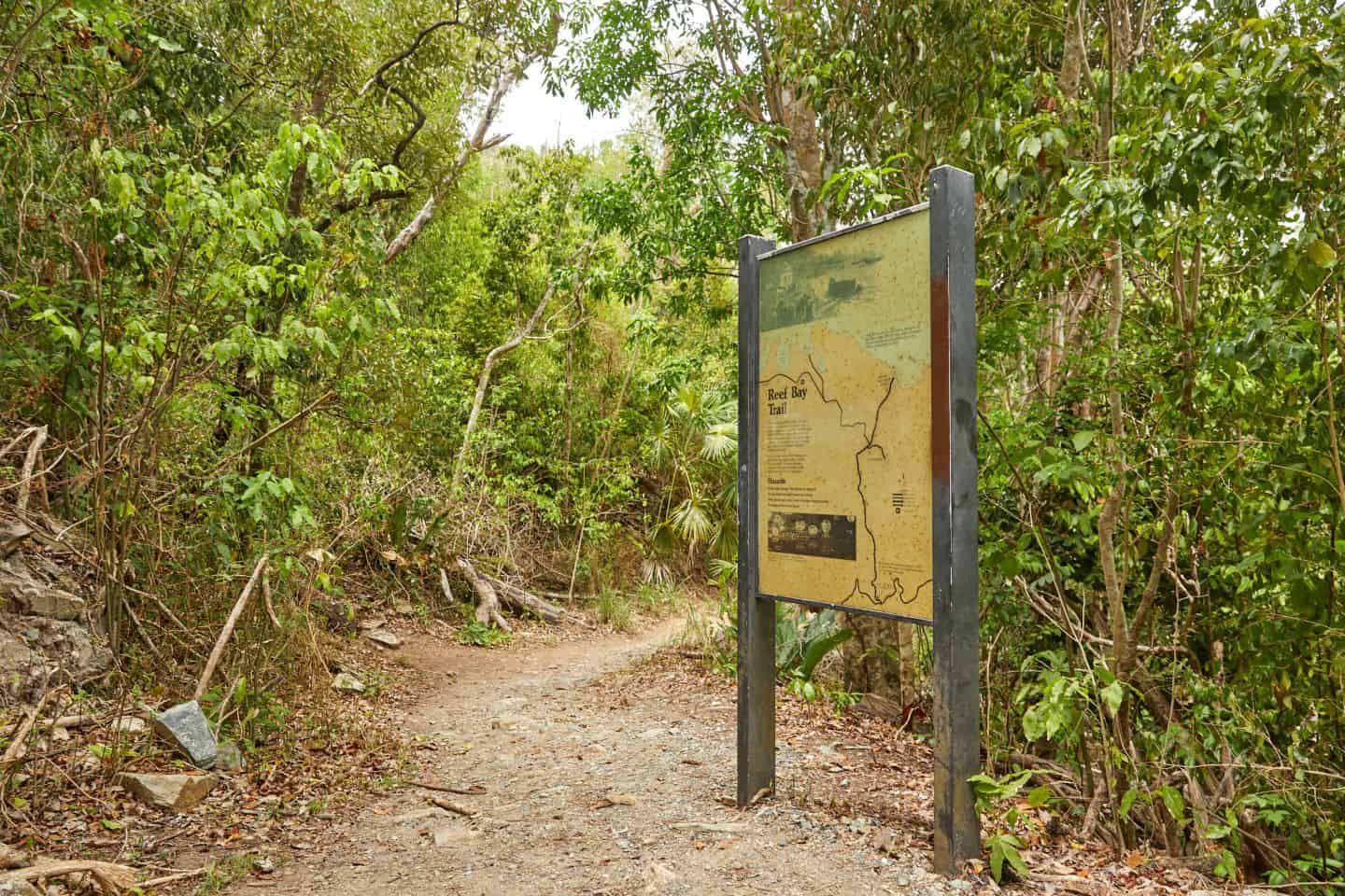 Reef Bay Trail, St. John, USVI