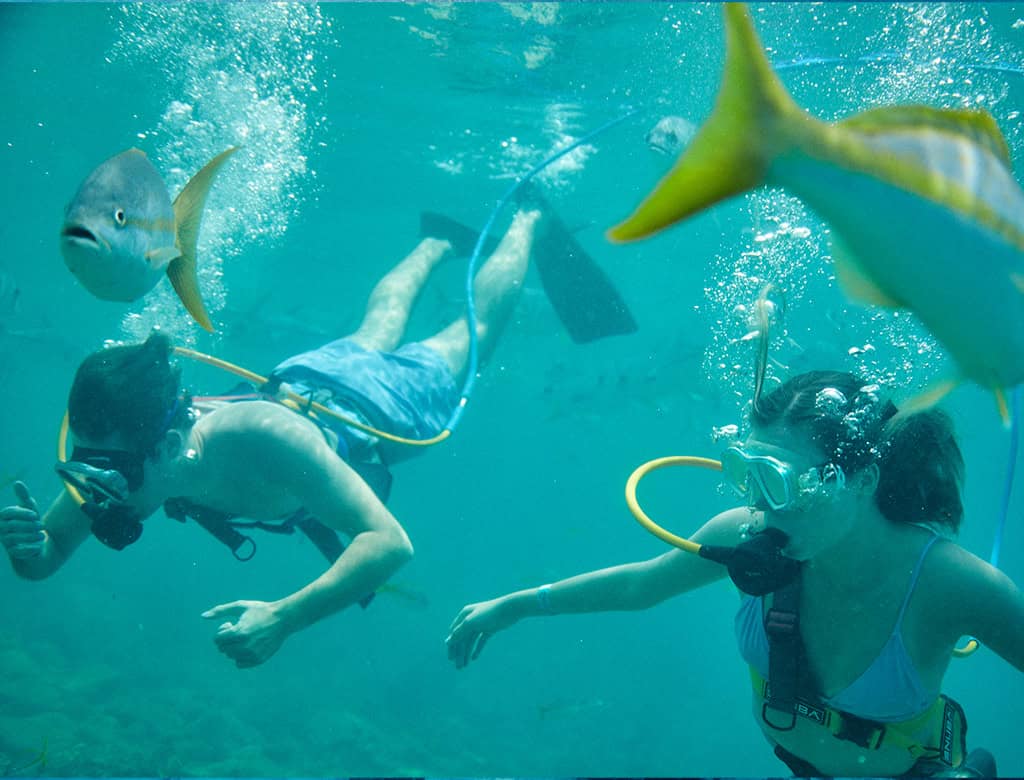 Two people are surrounded by fish in bright blue water on a SNUBA tour with Coral World Ocean Park.