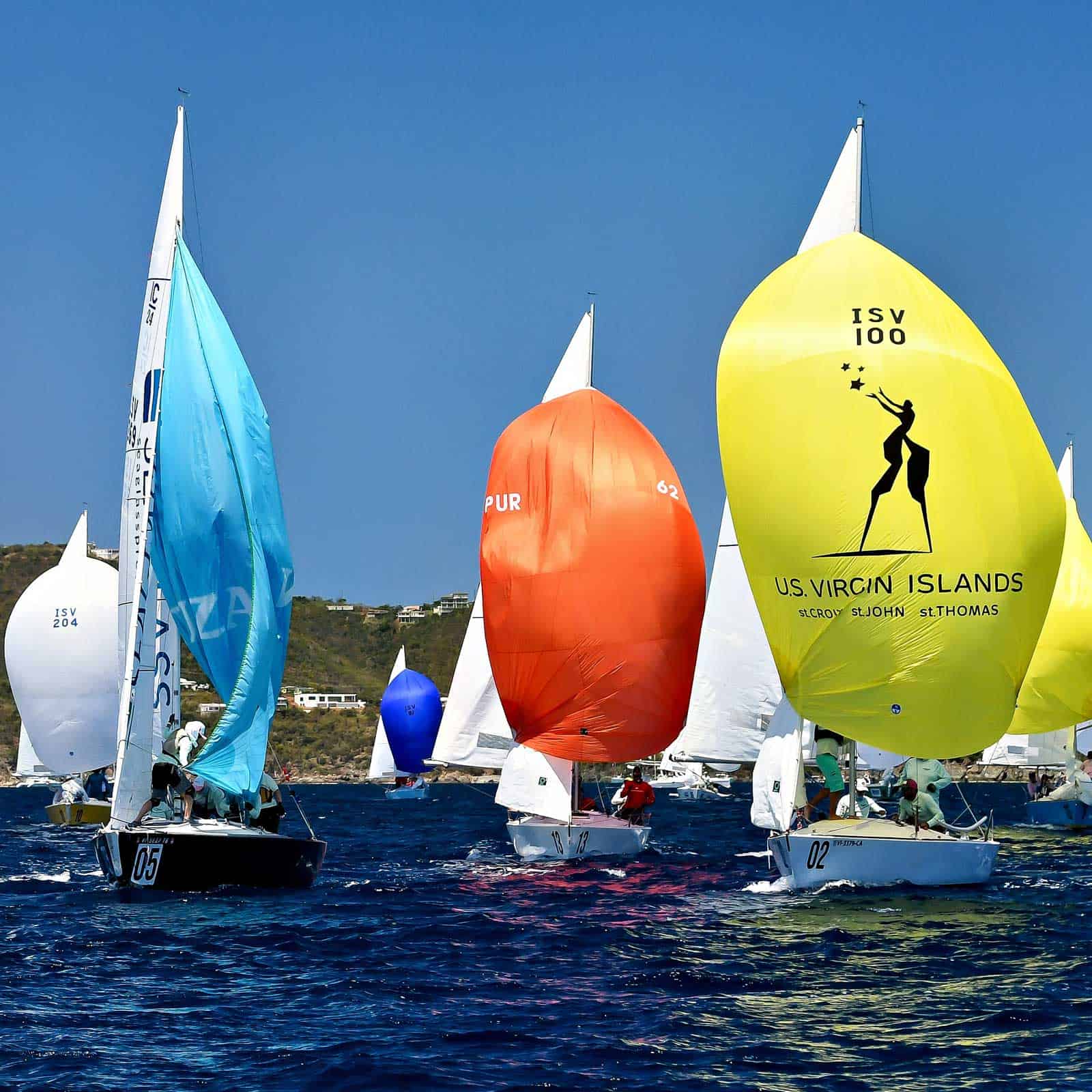 Regatta