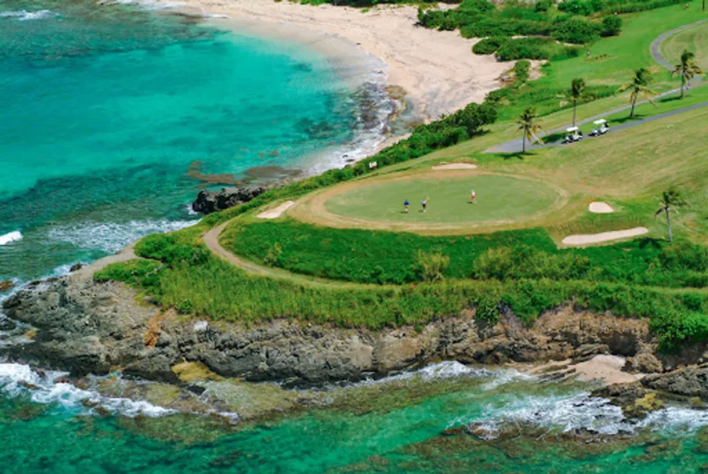 Aerial view of a golf course by the ocean with a green surrounded by sand traps. Three people are playing on the course, and palm trees line the edge. Turquoise water is visible.