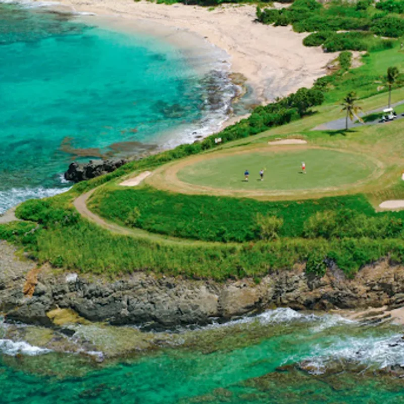Aerial view of a golf course by the ocean with a green surrounded by sand traps. Three people are playing on the course, and palm trees line the edge. Turquoise water is visible.