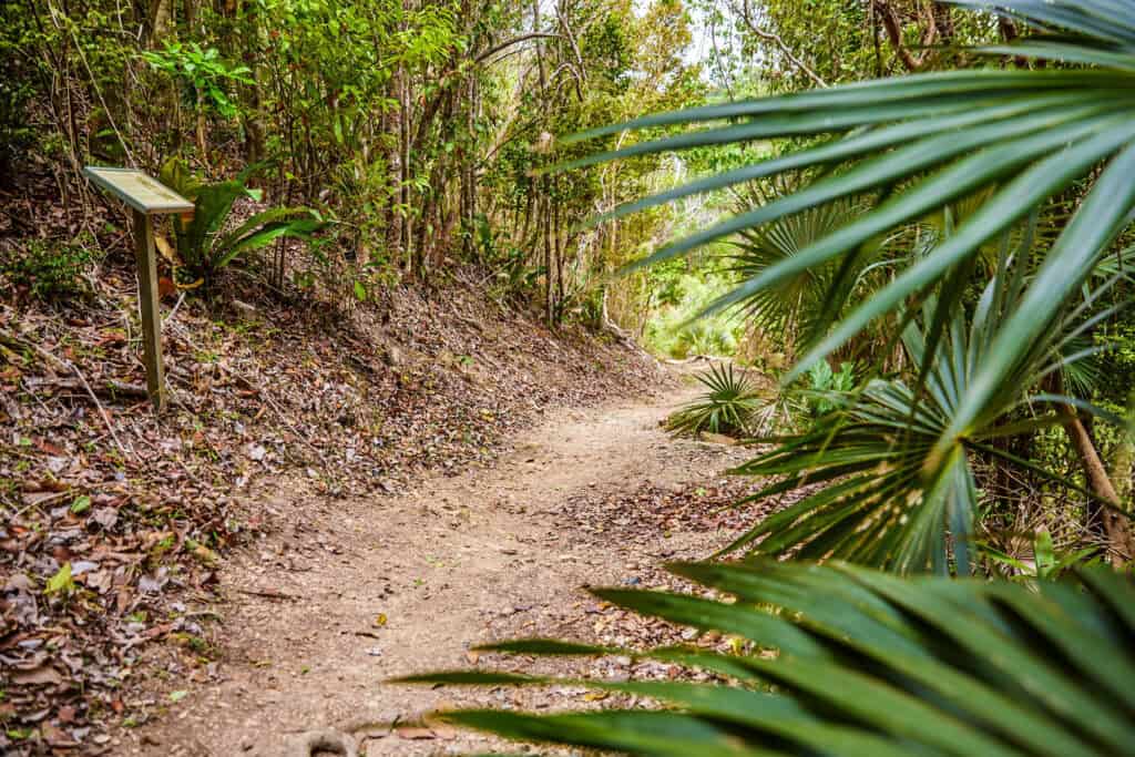 Dirt path along the Reef Bay Trail through a lush, green forest with various plants and a leaning sign on the left side on St. John, U.S. Virgin Islands.