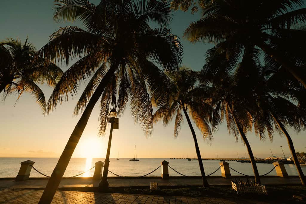 Silhouetted palm trees line a waterfront at sunset in St. Croix, with a sailboat on the horizon and golden light reflecting on the water near the Frederiksted Pier.