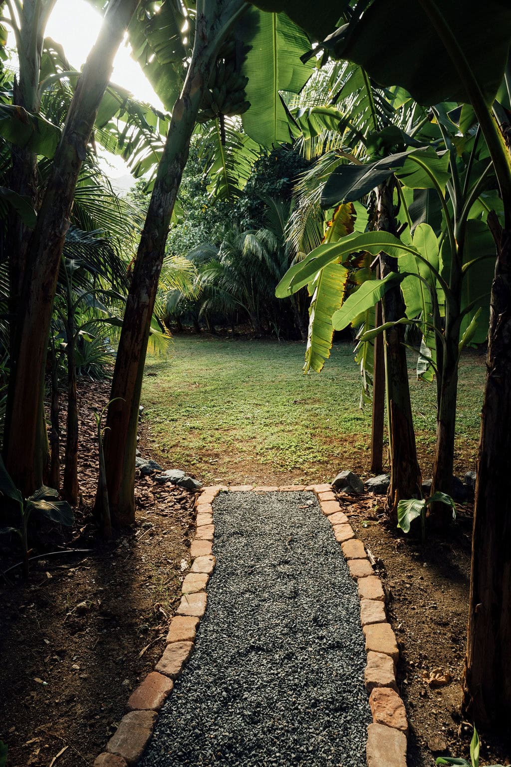 A gravel path at Hideaway at Hull Bay bordered by stones leads through dense tropical plants to an open grassy area with trees in the background.