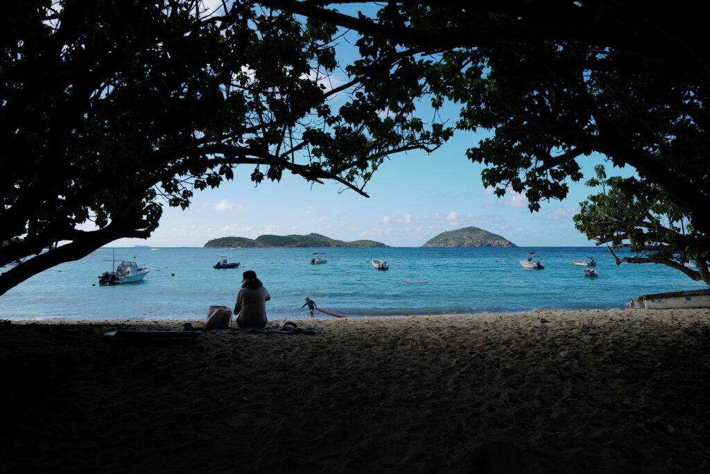 A view from the Hideaway at Hull Bay property looking through a tree line to see boats bobbing the in water of Hull Bay.