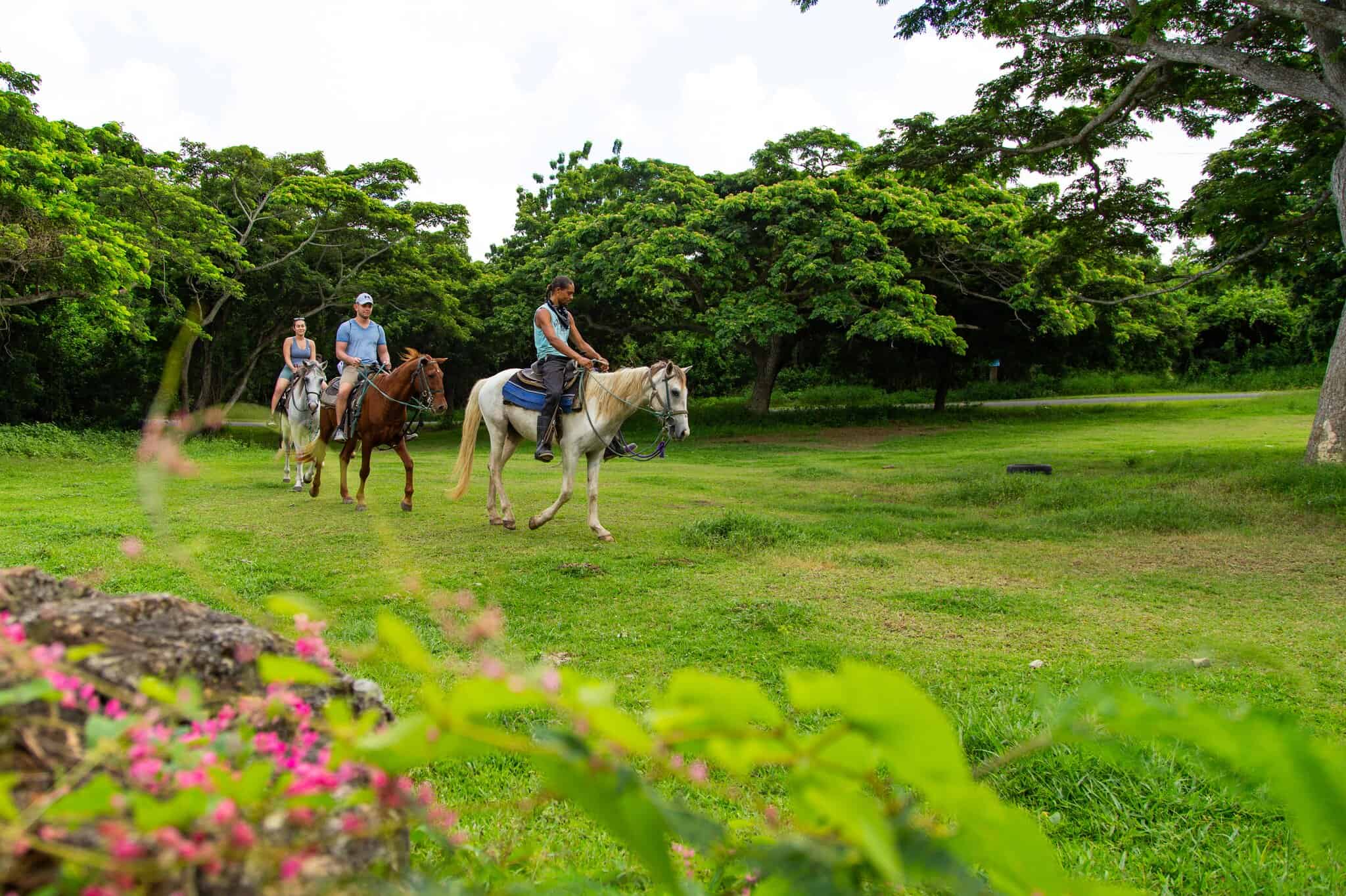 Horseback riding on St. Croix, U.S. Virgin Islands
