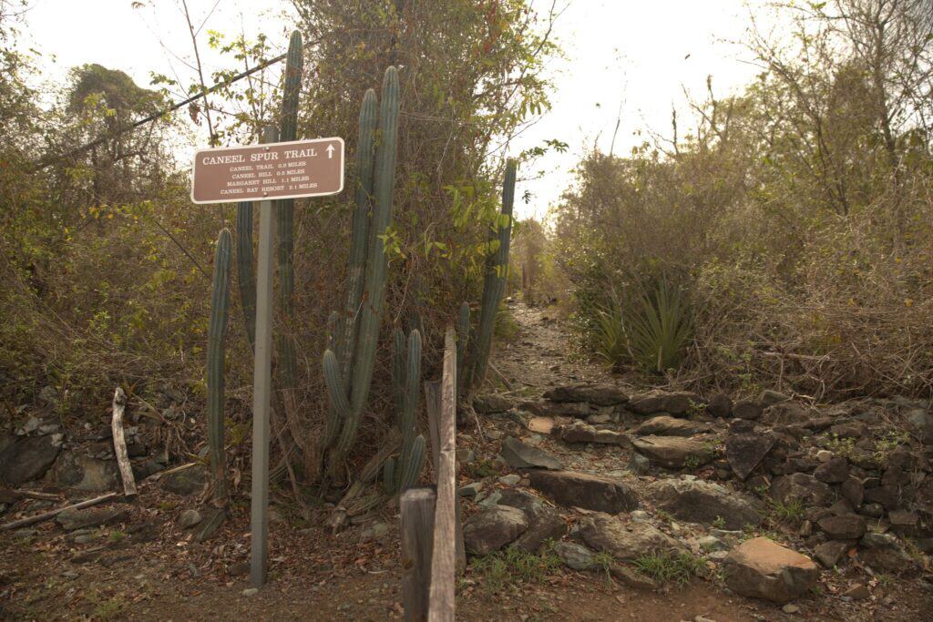 The rocky Caneel Spur Trail leading to the beach at Caneel Bay .