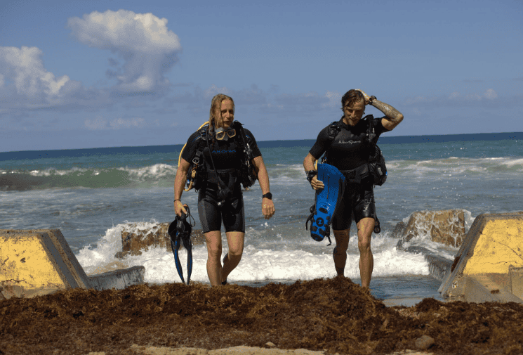 Two people in wetsuits and scuba gear walk out of Cane Bay Beach onto a seaweed-covered shore under a blue sky on St. Croix, USVI.