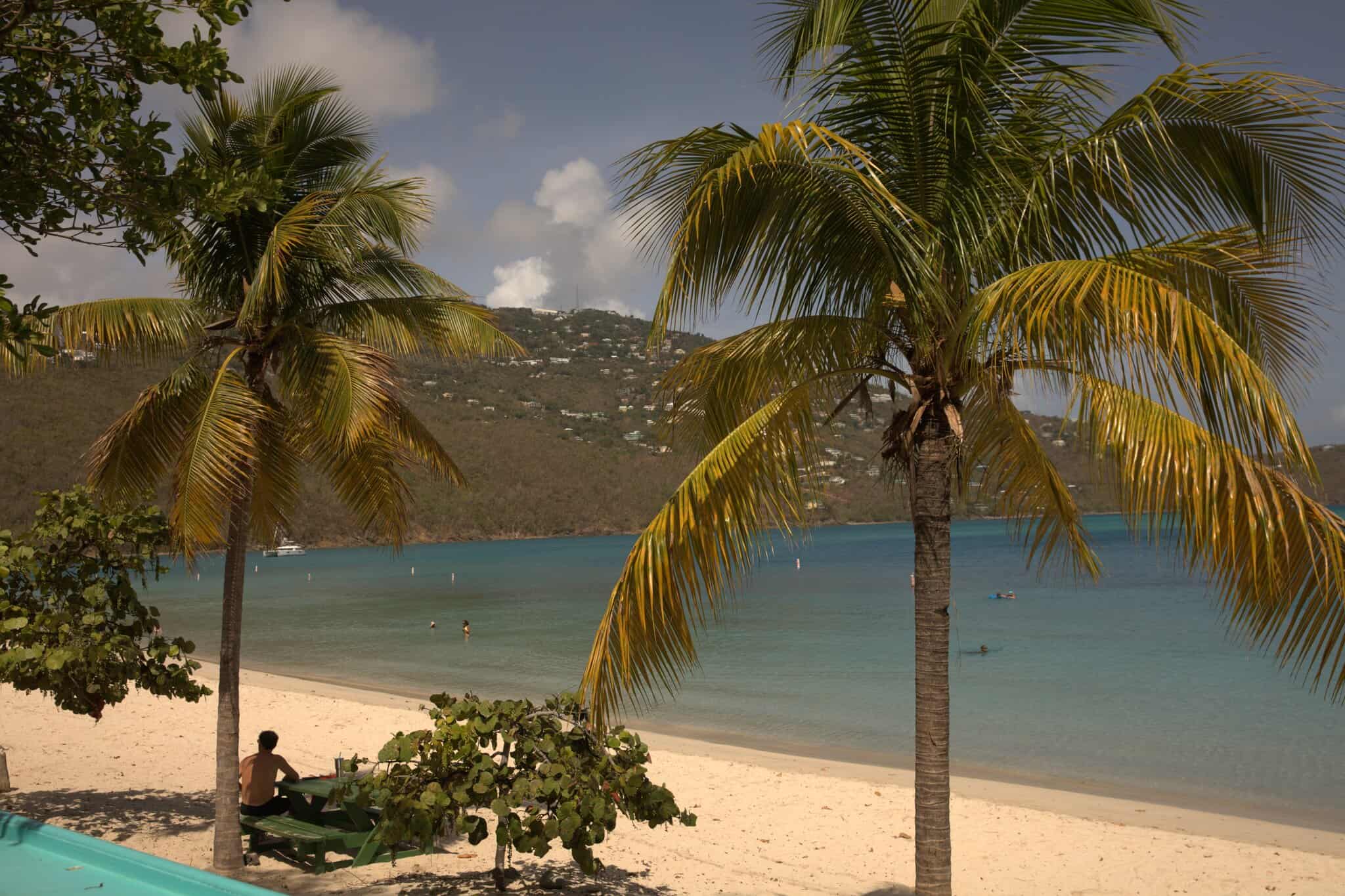 Palm trees on the sandy Coki Point Beach on St. Thomas, UISVI, with calm blue water, a person sitting at a green picnic table, and hills in the background.