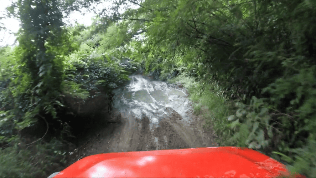 View from a vehicle driving down a muddy, narrow dirt trail surrounded by dense green foliage, with water and tire tracks visible on the path ahead on the road to Annaly Bay on St. Croix, USVI.